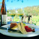Cycling tour South Australia Food and wine