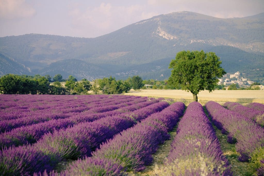 cycling tour provence alps