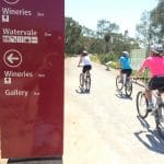 Cycling Riesling Rail Trail
