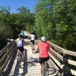 Cycling to Clare on Riesling Rail Trail