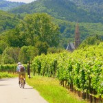 Cycling tours Alsace