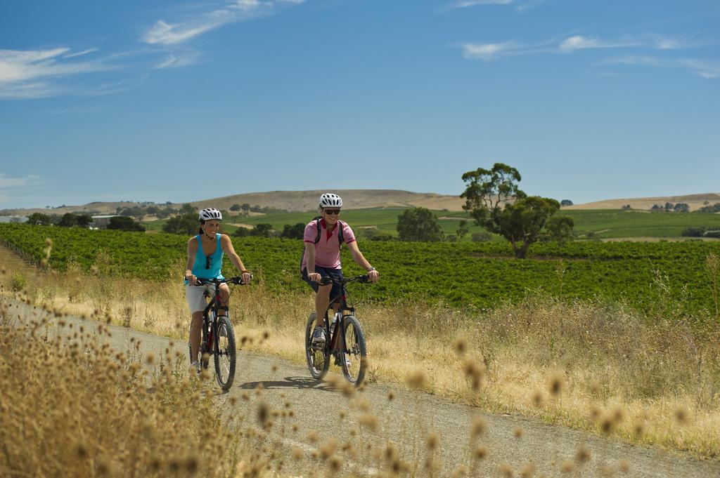 Cycling tour South Australia