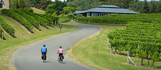 hawkes bay cycle wine tour