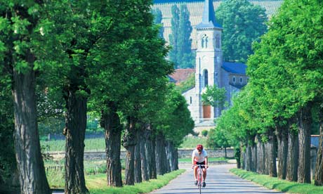 Cycling Wine tours Burgundy