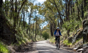 Cycling the Murray to Mountains Rail Trail