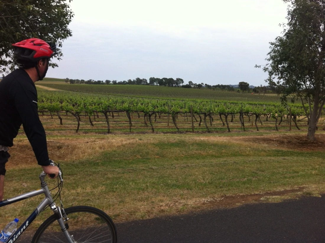 cycle tour mudgee nsw