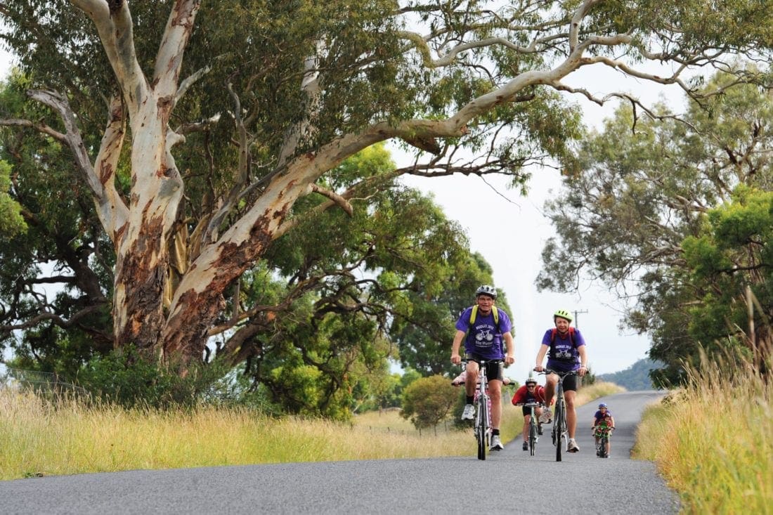 cycling mudgee