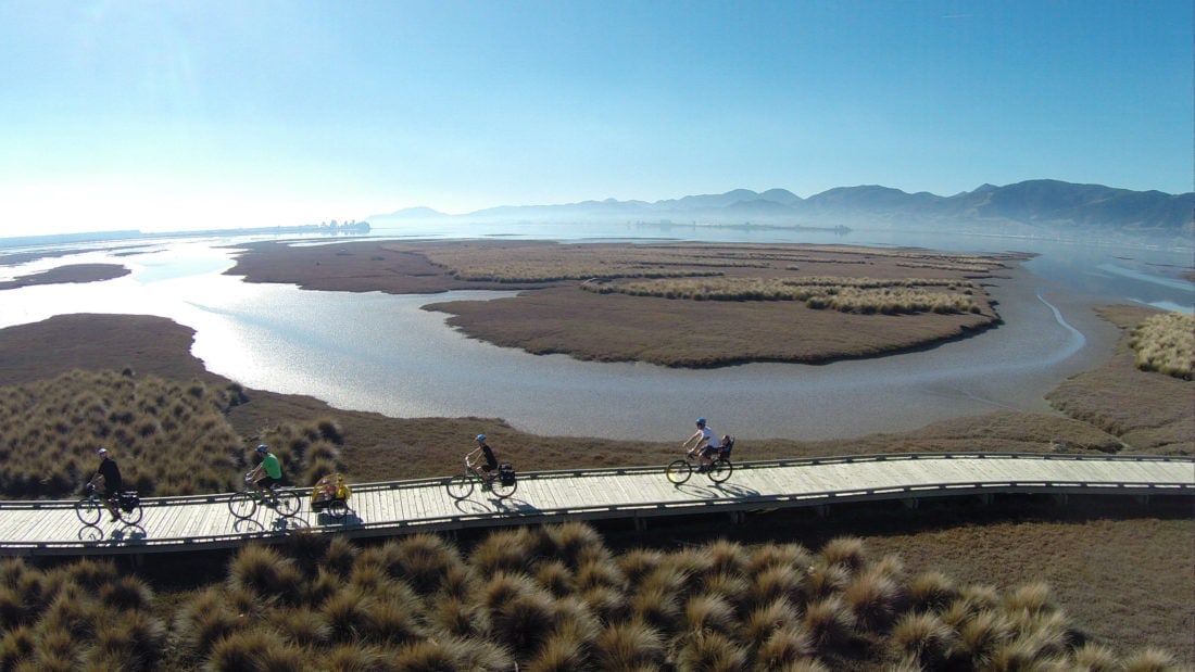 Cycling tours New Zealand Tour de Vines