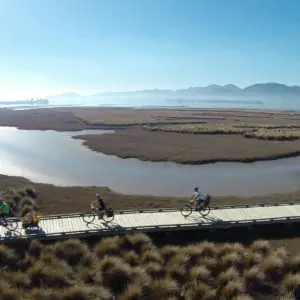 Cycling tours New Zealand Tour de Vines
