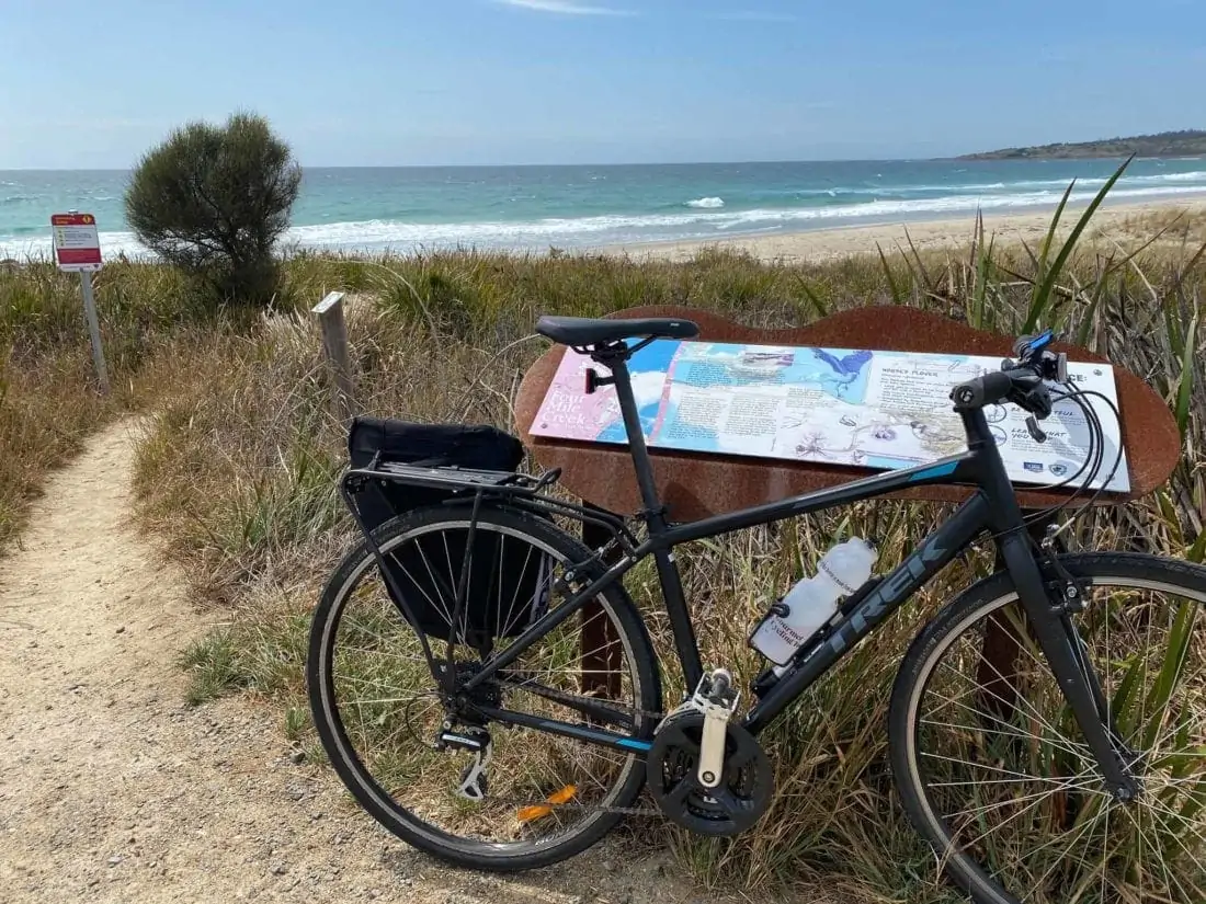 scenery on cycling tour in tasmania