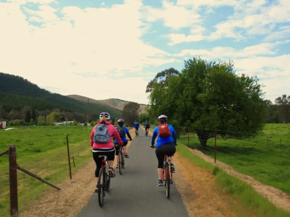 cycling the murray to mountains rail trail