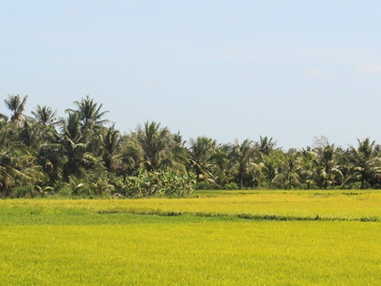 Find Your Bike Tour Cambodia - Tour de Vines