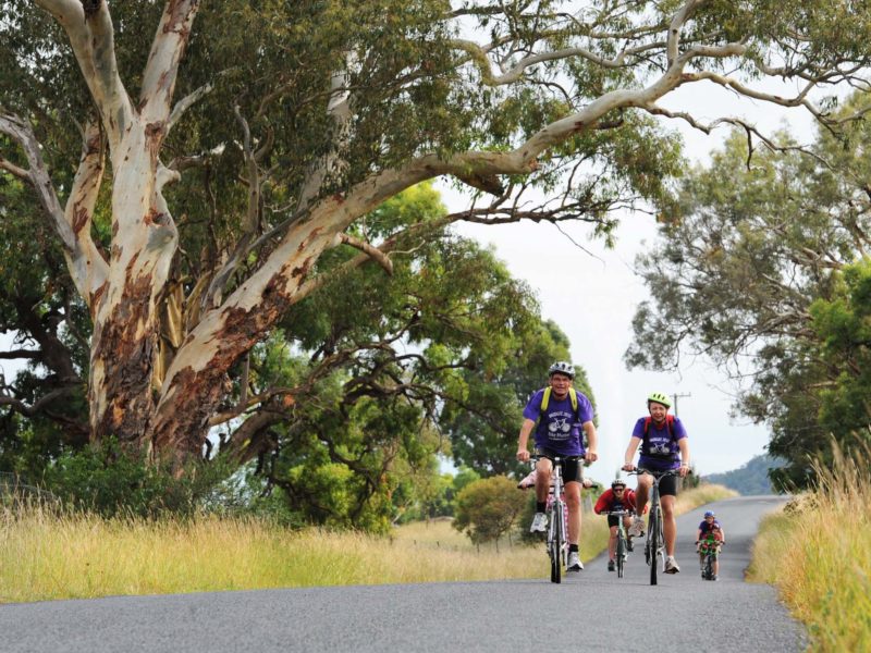 Tour De Vines Australia New South Wales Cyclingmudgee2