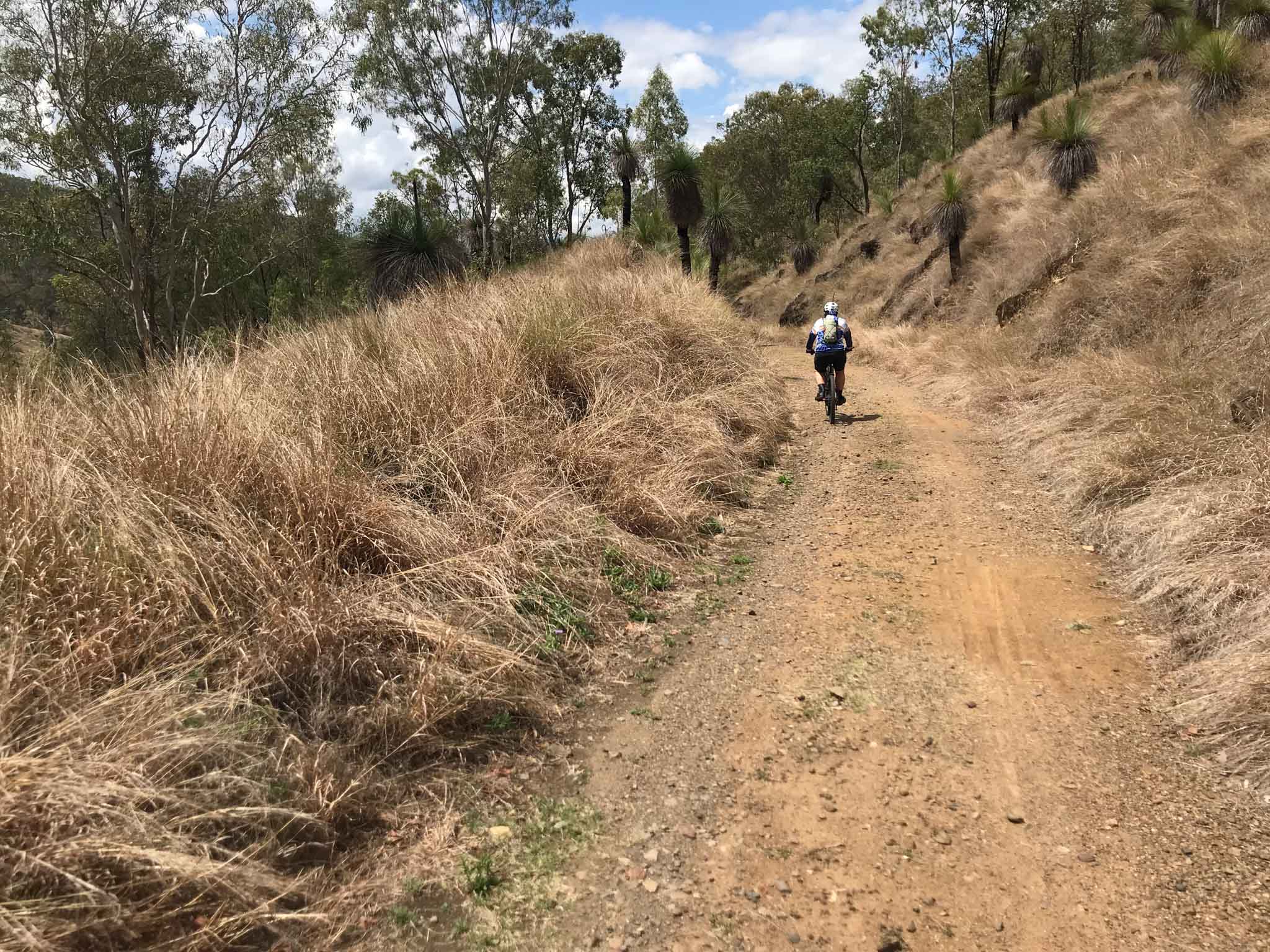 The surface of the Brisbane Valley Rail Trail can be bumpy in parts. The surface of the Brisbane Valley Rail Trail can be bumpy in parts.