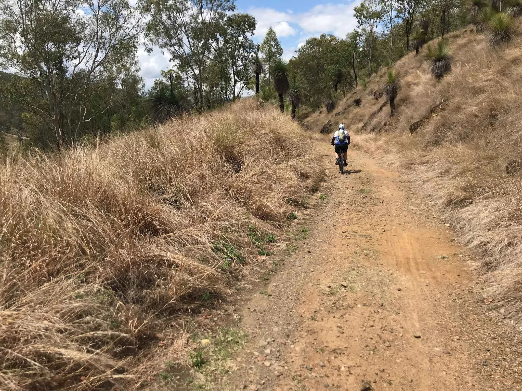 The surface of the Brisbane Valley Rail Trail can be bumpy in parts.