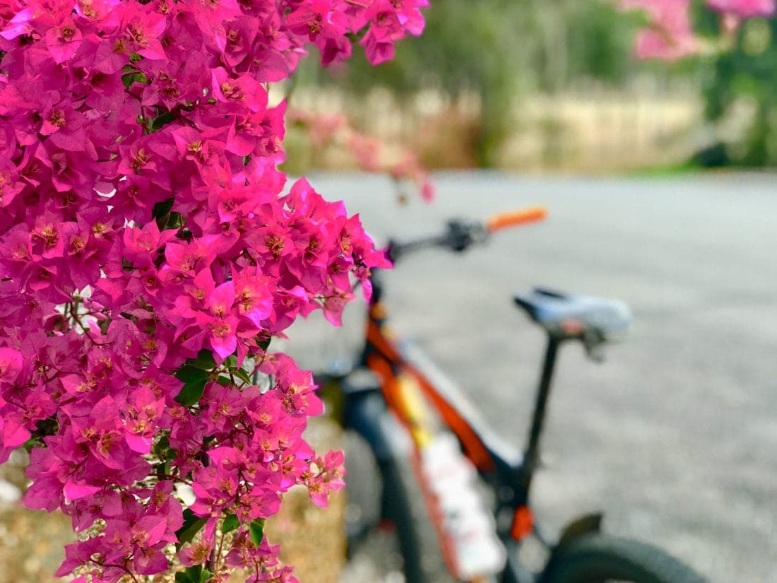 Tour De Vines Australia Queensland 6087