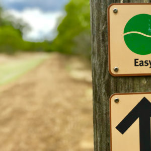 Brisbane Valley Rail Trail cycling tour