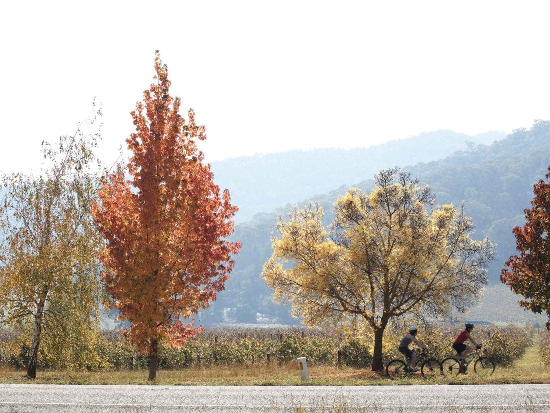 Rail Trail - Great Alpine Road