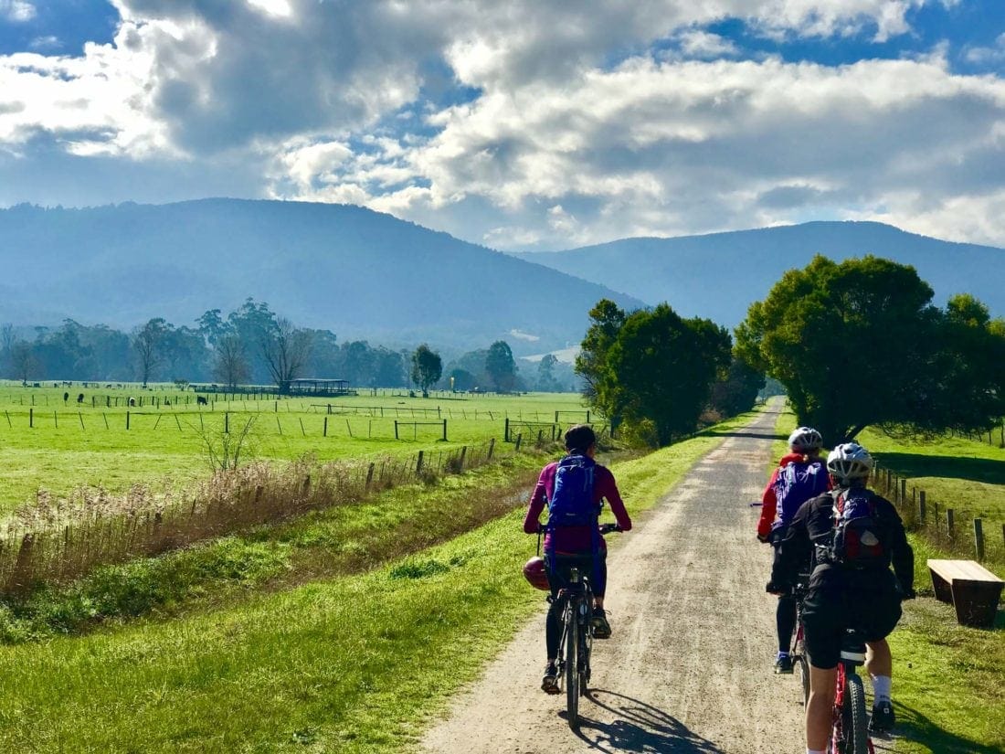 Yarra Valley Lilydale to Warburton Rail Trail cycling tour
