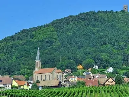 Tour De Vines France Alsace Alsace10