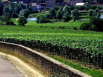 Tour De Vines France Burgundyroad