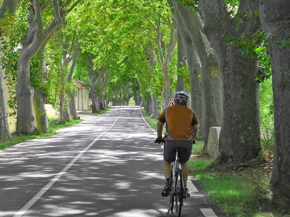 Tour De Vines France Canal Du Midi Canaldumidi1