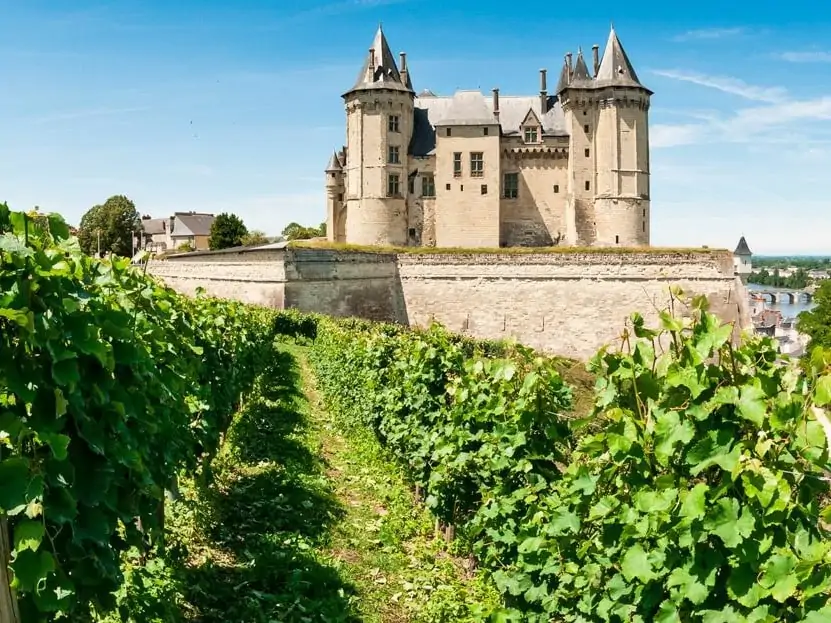 Tour De Vines France Loire Valley Chateaudesaumur