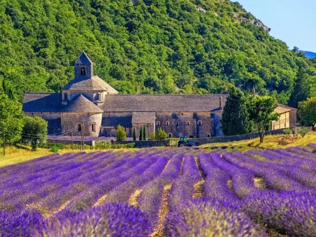 Cycling tour in France, Provence