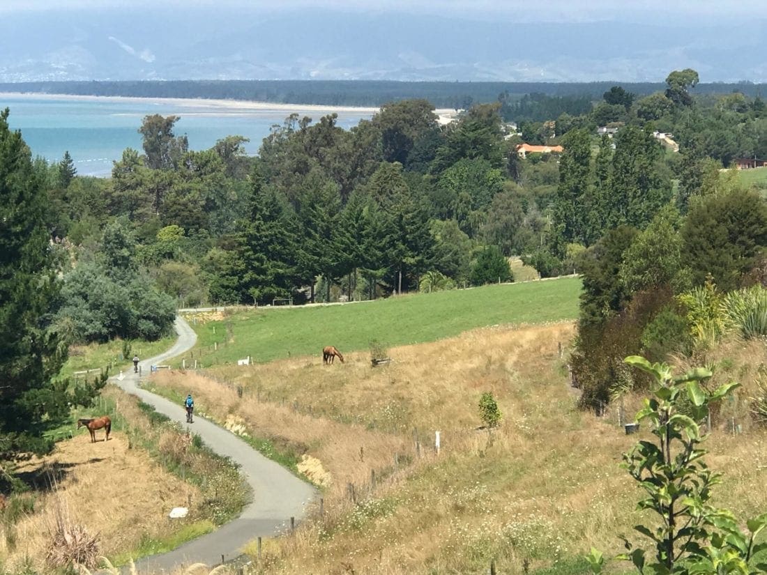 Great Taste Trail NZ scenery