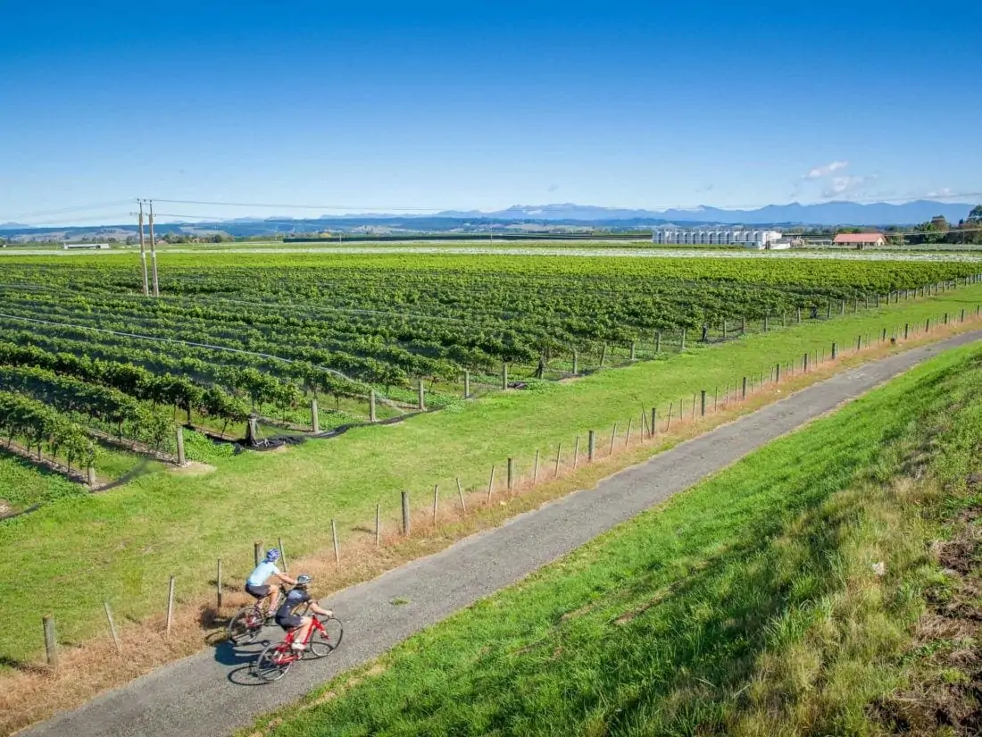 Cycling tour Hawkes Bay NZ