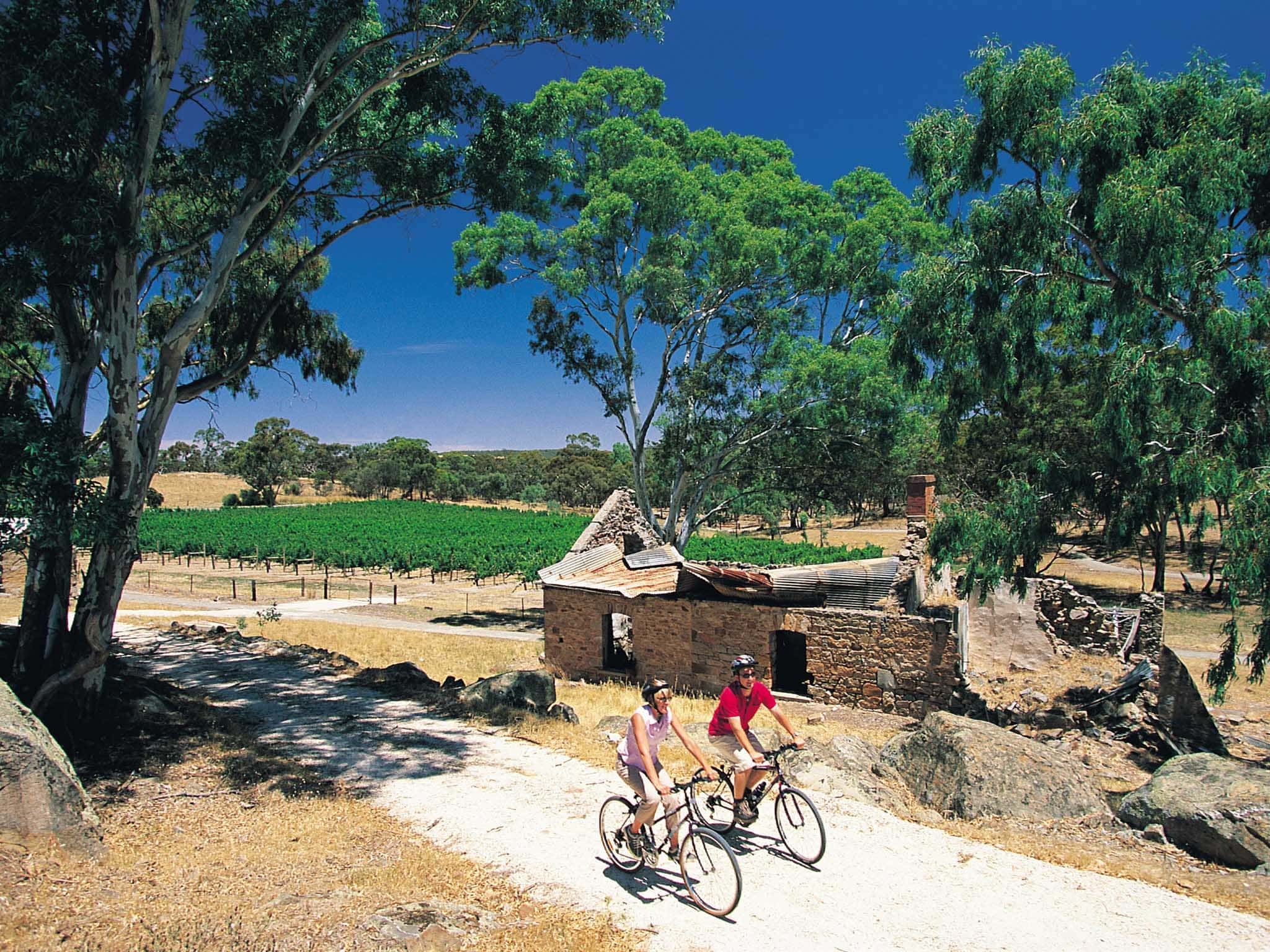 clare valley cycling tours