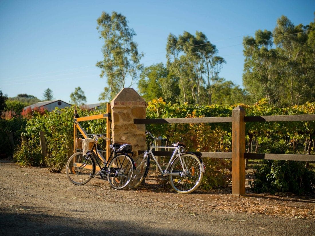 Tour de Vines Adelaide Bike Tour