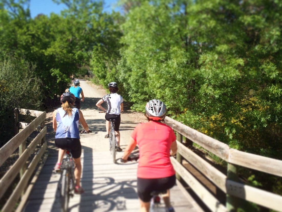 Cycling the Riesling Rail Trail