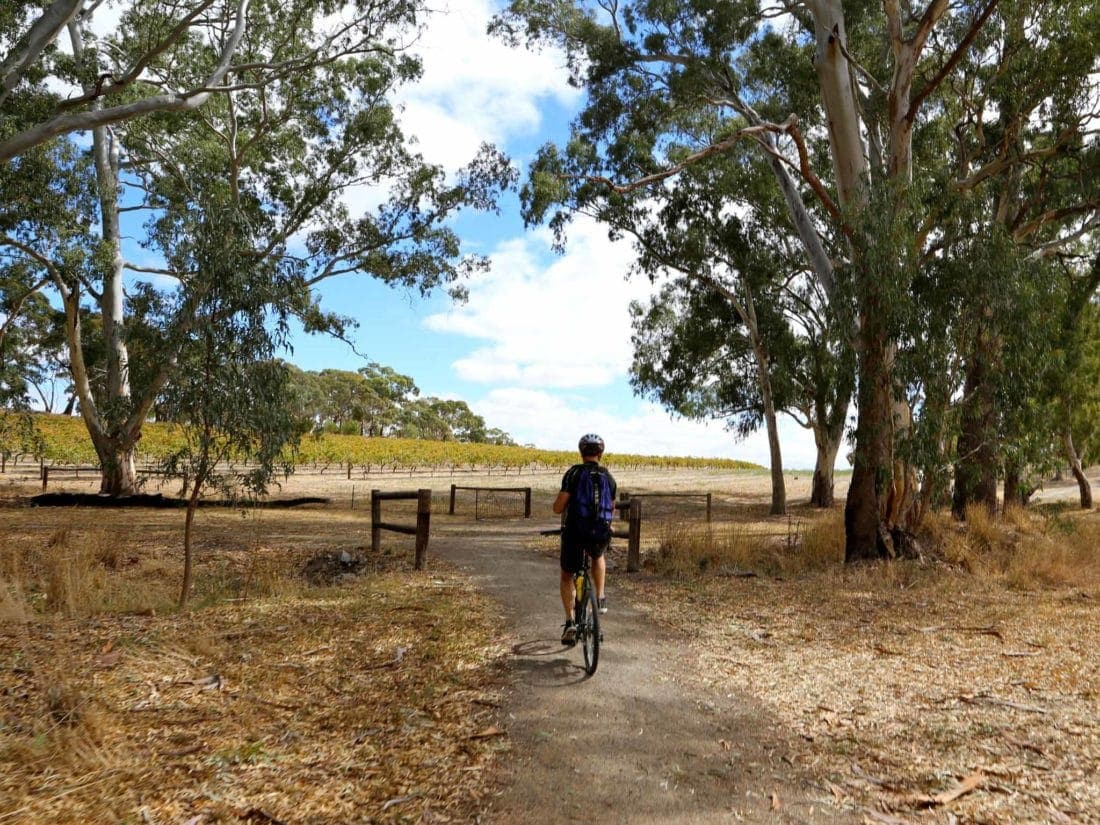 Bike tour South Australia