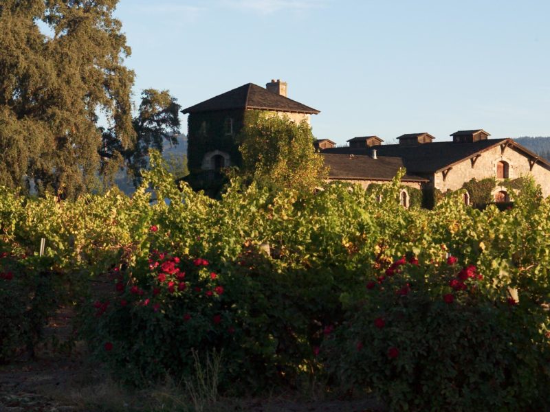 Cycling tours Italy