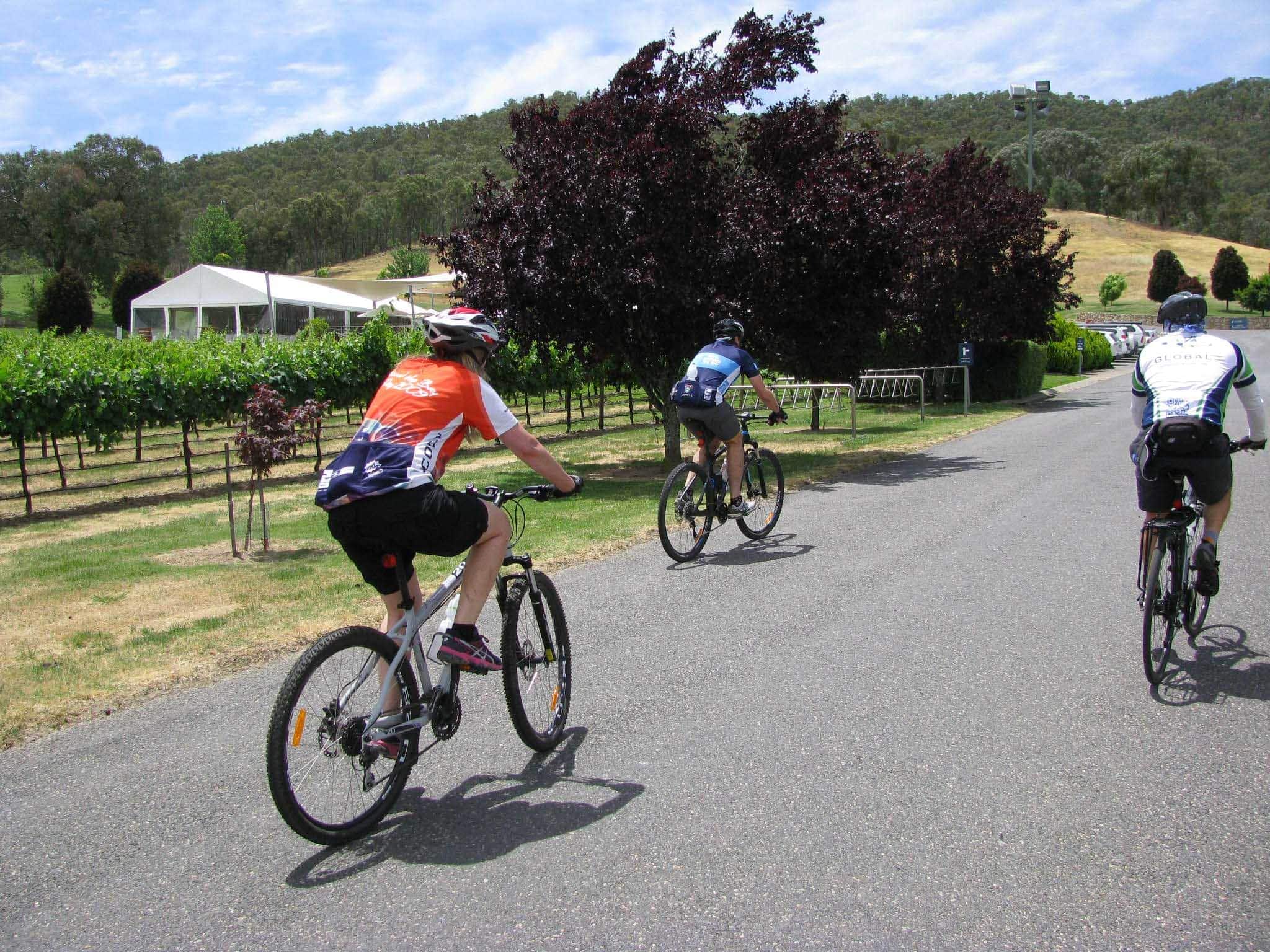 High Country Rail Trail Open / Tour De Vines