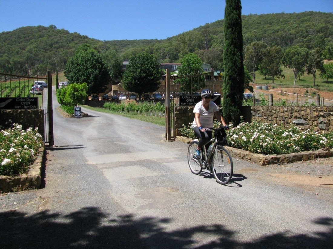 Tour De Vines Victoria Australia Murray To Mountains 5464