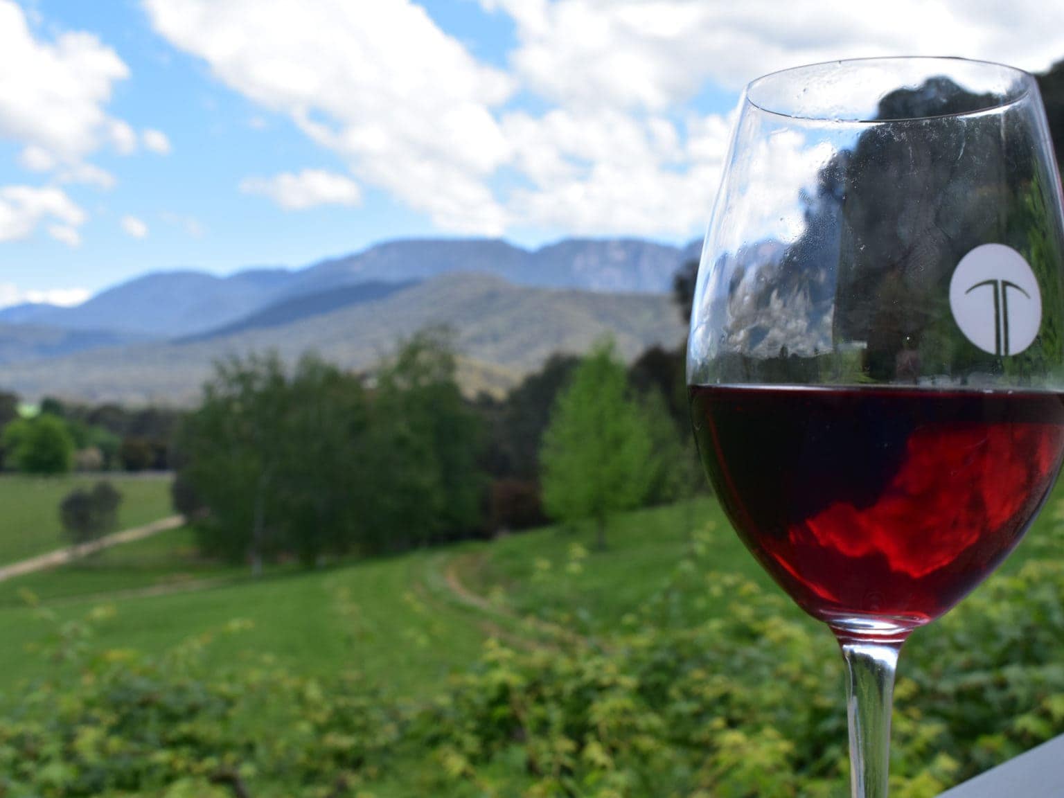 Murray to Mountains Rail Trail The Ultimate Guide / Tour De Vines