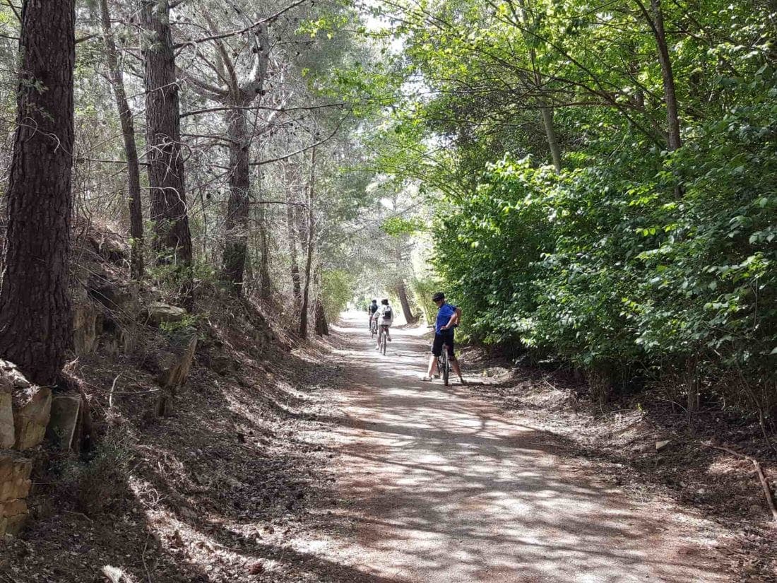 Cycling the Riesling Rail Trail in South Australia