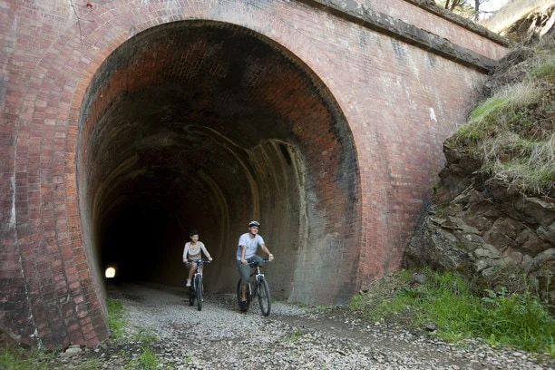 Ride the Cheviote Tunnel on the Great Victorian Rail Trail tour
