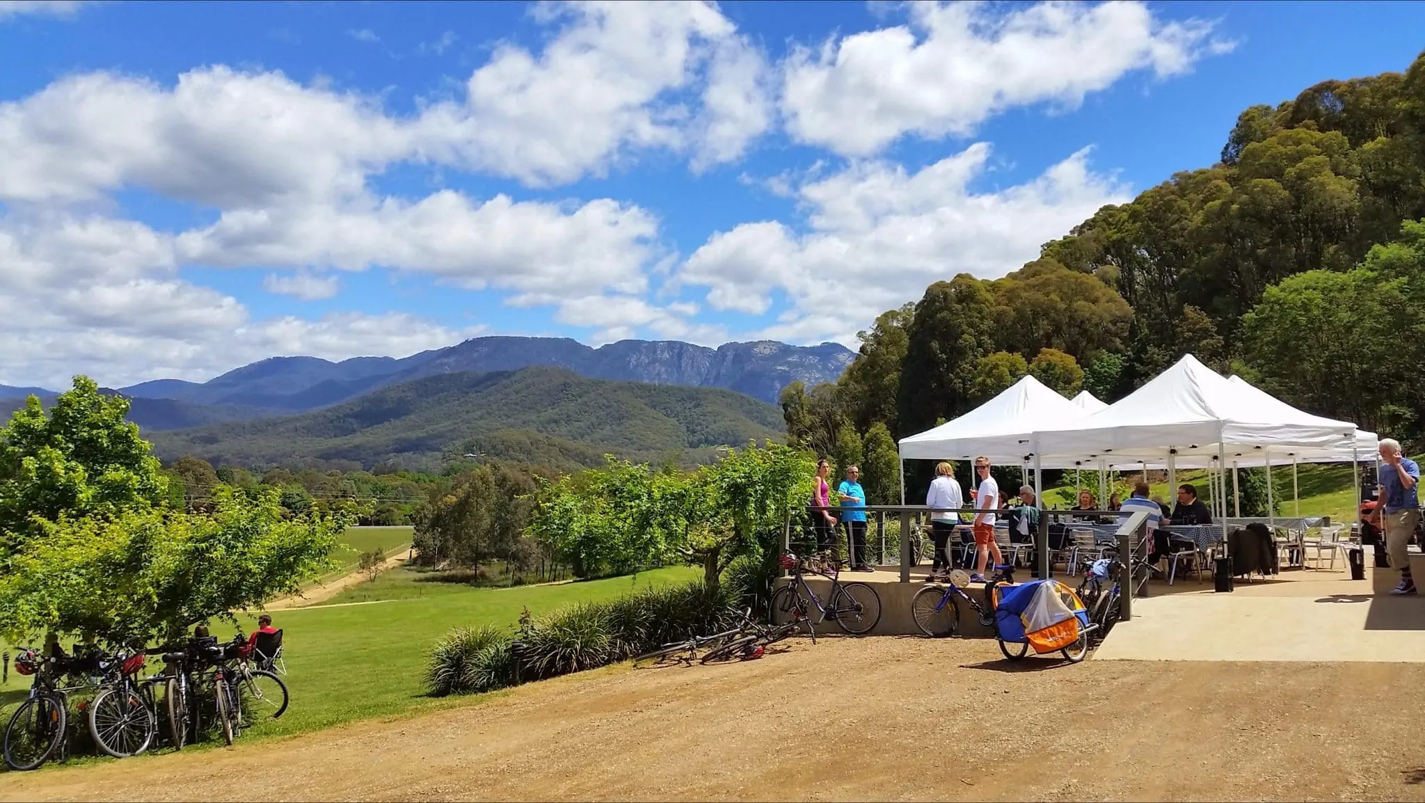Ringer Reef winery on the Murray to Mountains Rail Trail