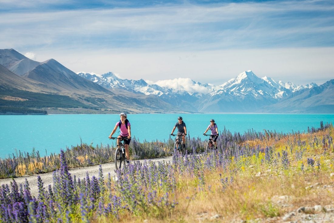 Cycling tour south island new zealand