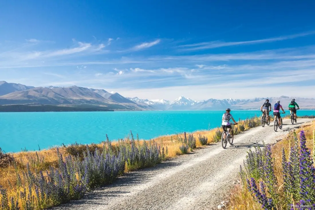 Cycling tour south island new zealand