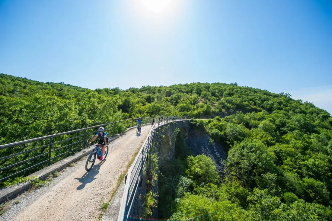 Cycling tour in Istria Croatia