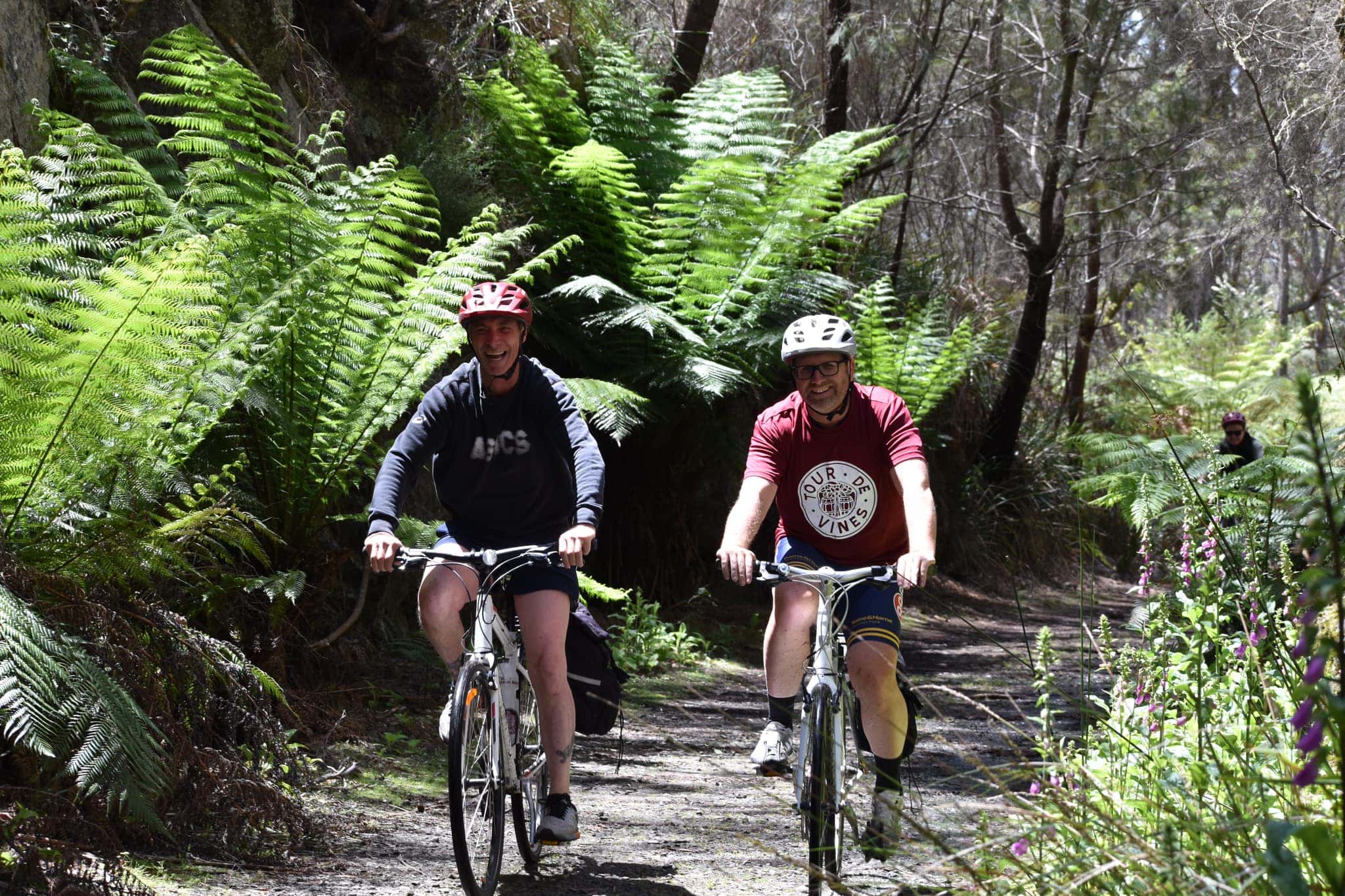 cycling the north east rail trail tasmania nov22
