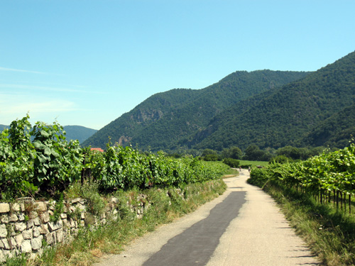 cycling tour danube in the wachau valley