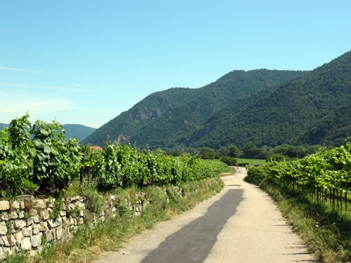 cycling tour danube in the wachau valley