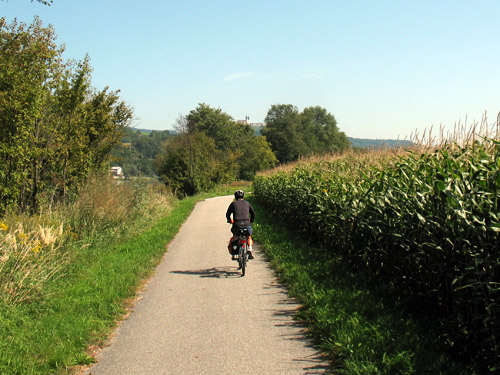 danube cycle path between fields and the river