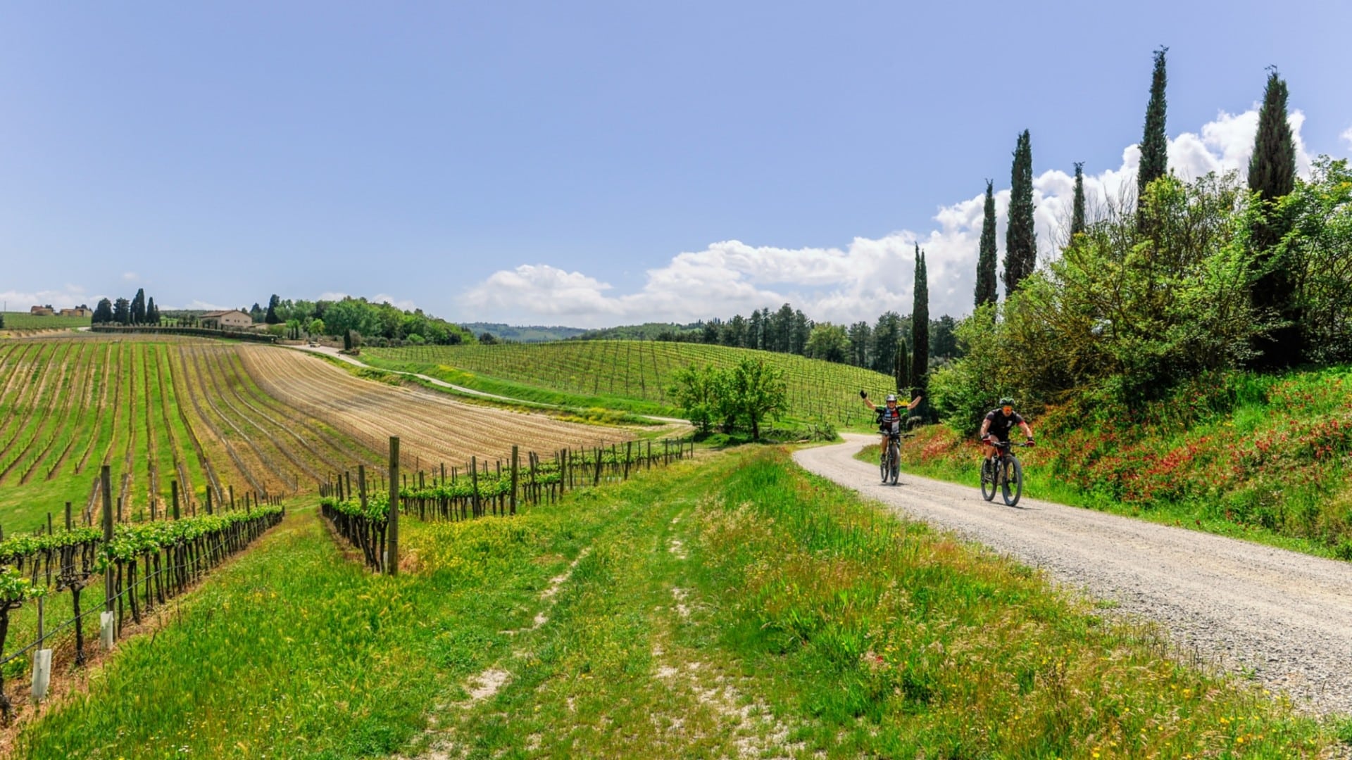 cycling past vineyards on a bike tour in tuscany