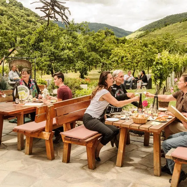 wine tasting and lunch in wachau on danube cycling tour